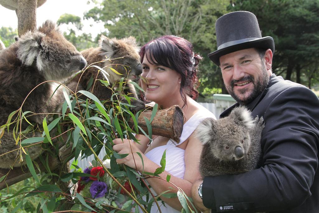 Fauna Australia Wildlife Retreat Lavers Hill Экстерьер фото