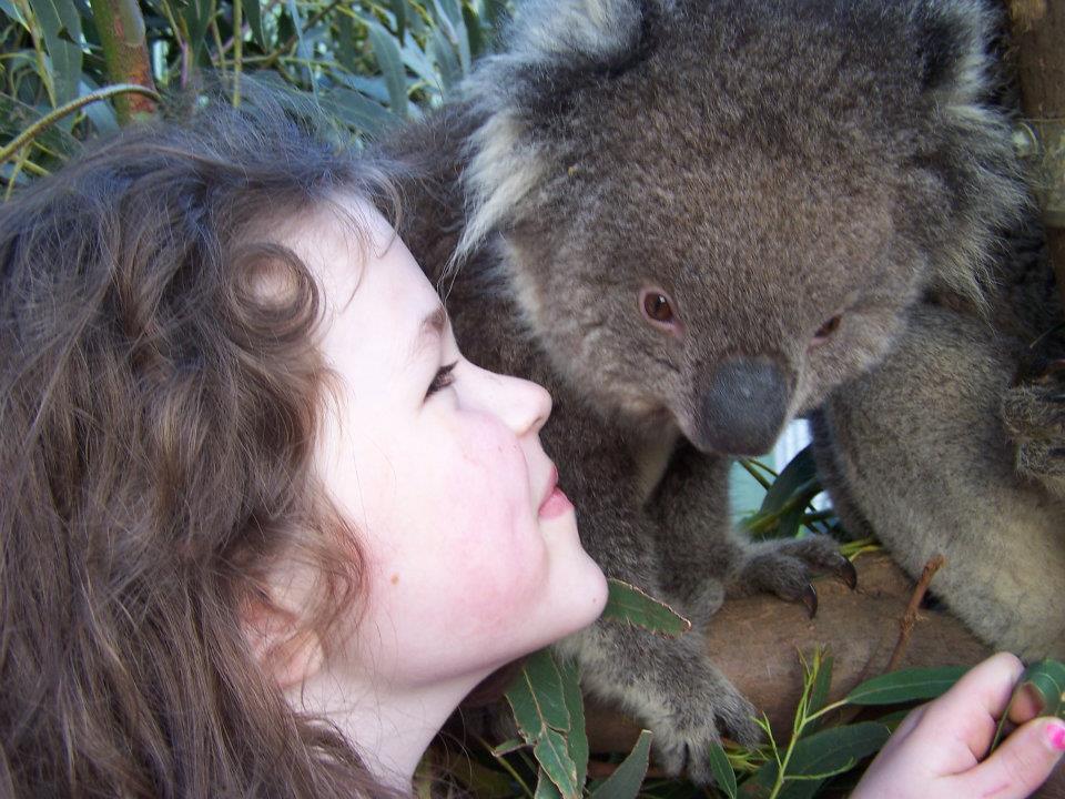 Fauna Australia Wildlife Retreat Lavers Hill Экстерьер фото