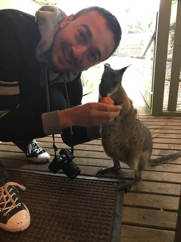 Fauna Australia Wildlife Retreat Lavers Hill Экстерьер фото